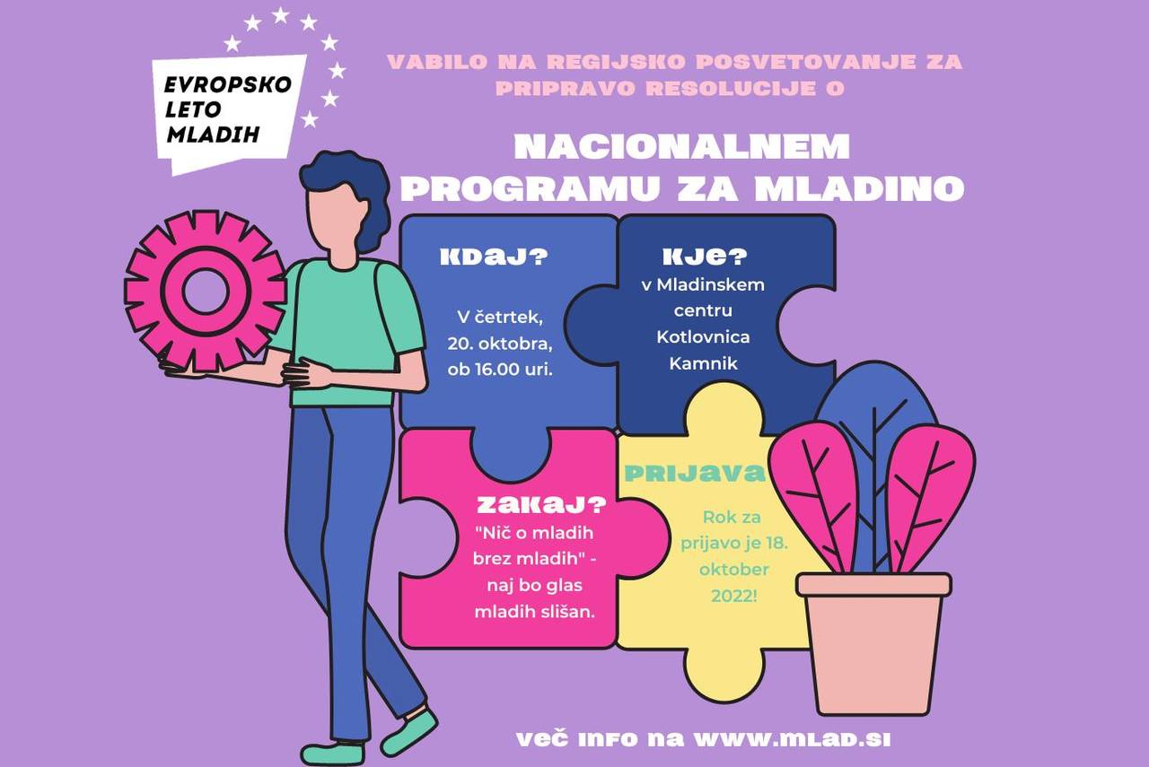 13. Regijski posvet za pripravo Resolucije o nacionalnem programu za mladino