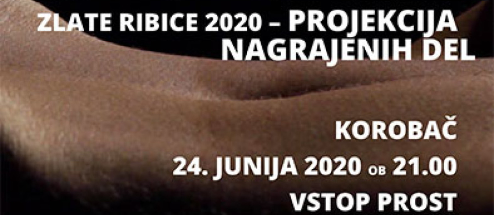 Zlate ribice 7. Festivala svobodne video produkcije – FSVP 2020 – projekcija nagrajenih del